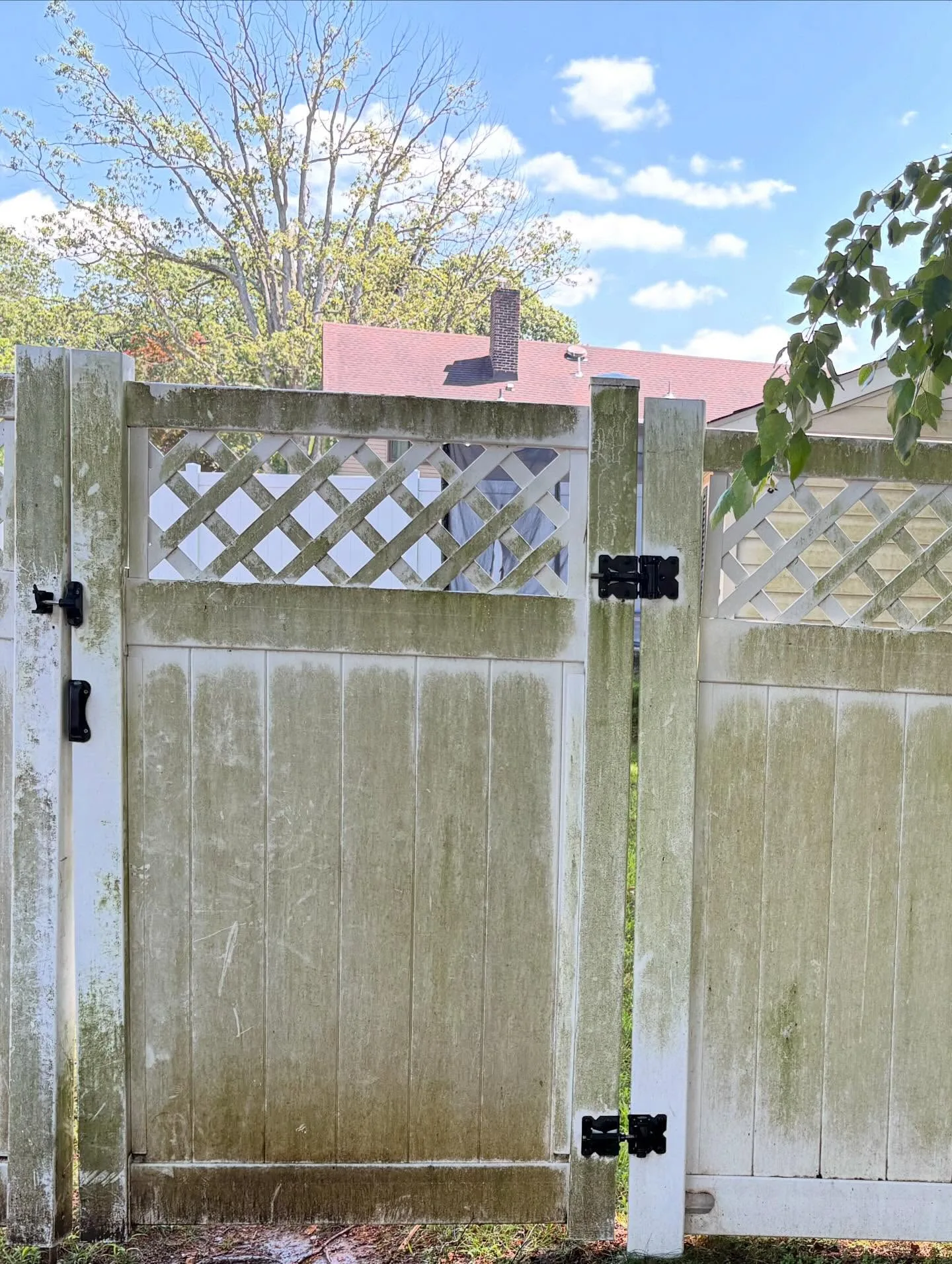 Dirty fence gate covered in green algae and grime before pressure washing